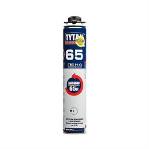 Пена проф летняя Tytan 65 019-0103